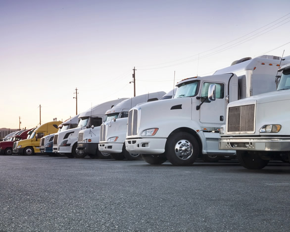 CDL Training School